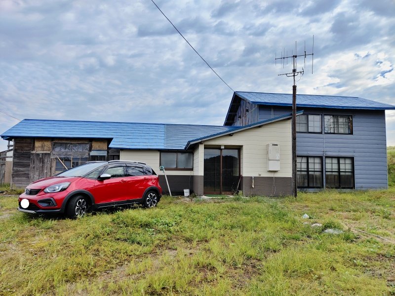 フィロデンドロン・ヘデラセウム:手入れ、水やり、繁殖