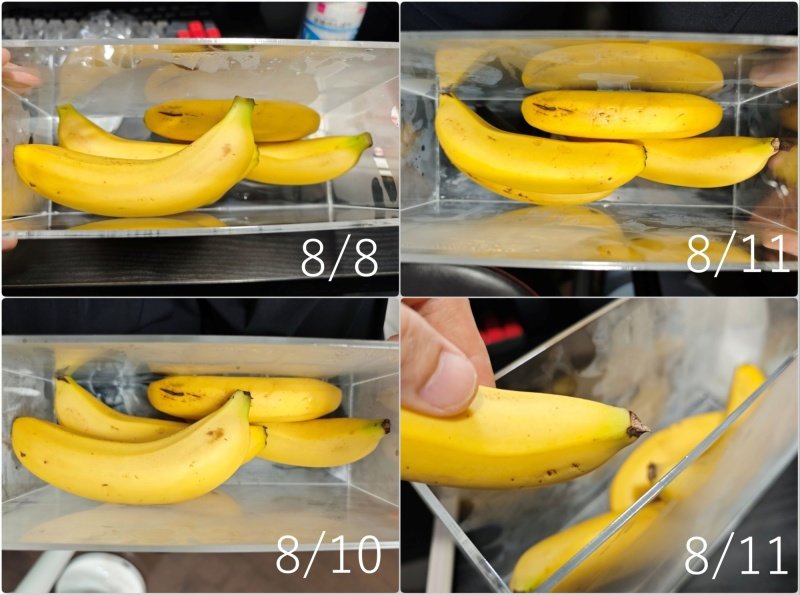 bananacase.jpg