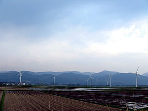 風車全景