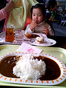 ハヤシとカレーのハーフ&ハーフ大盛り