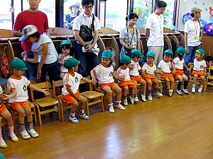 屋外および屋内のハエよけ植物